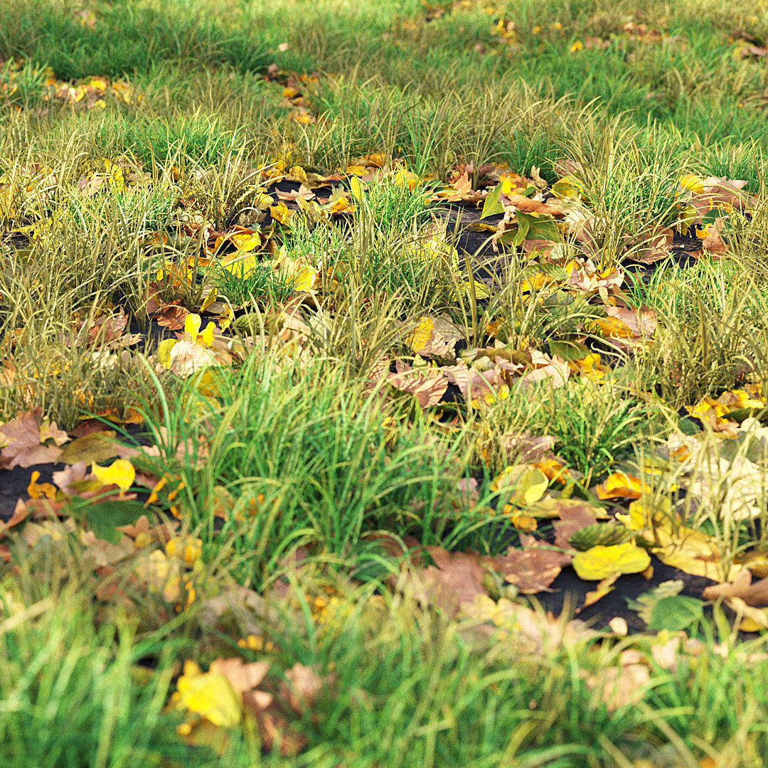 Autumn Grass 01 3D model_2