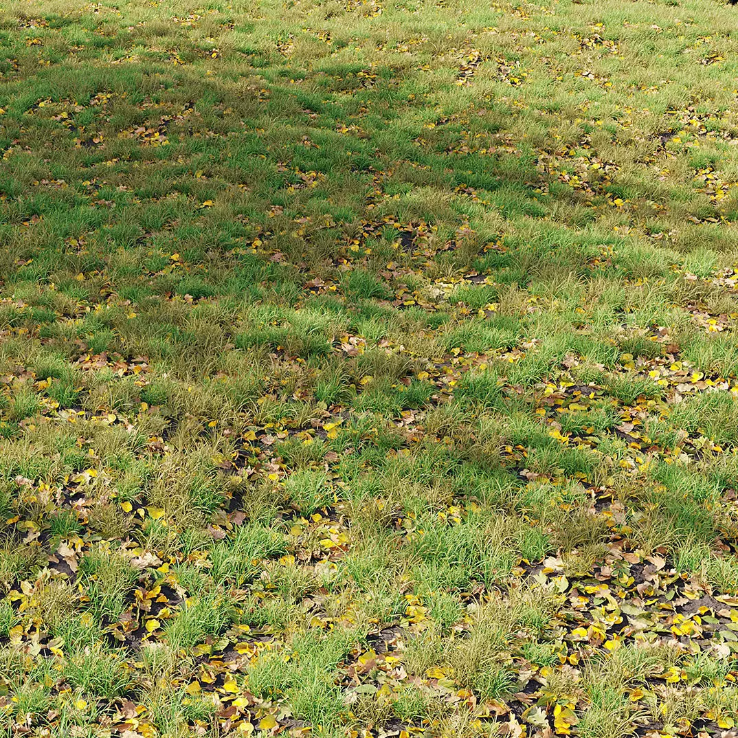 Autumn Grass 01 3D model_0