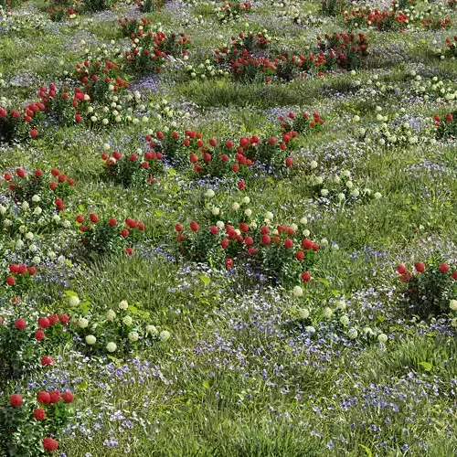 Meadow Lawn Grassland Set 016 3D model