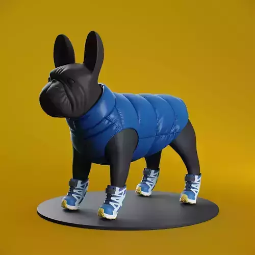 Mondog pet outfitters poldo dog couture with Salomon Cross Shoes