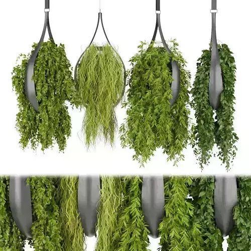 Collection plant vol 253 - indoor