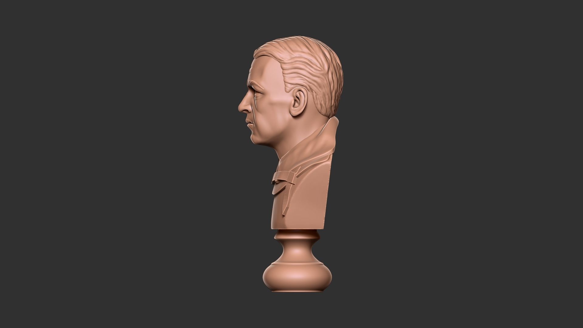 Ernest Shackleton Bust - 3D Print Model 3D print model_5