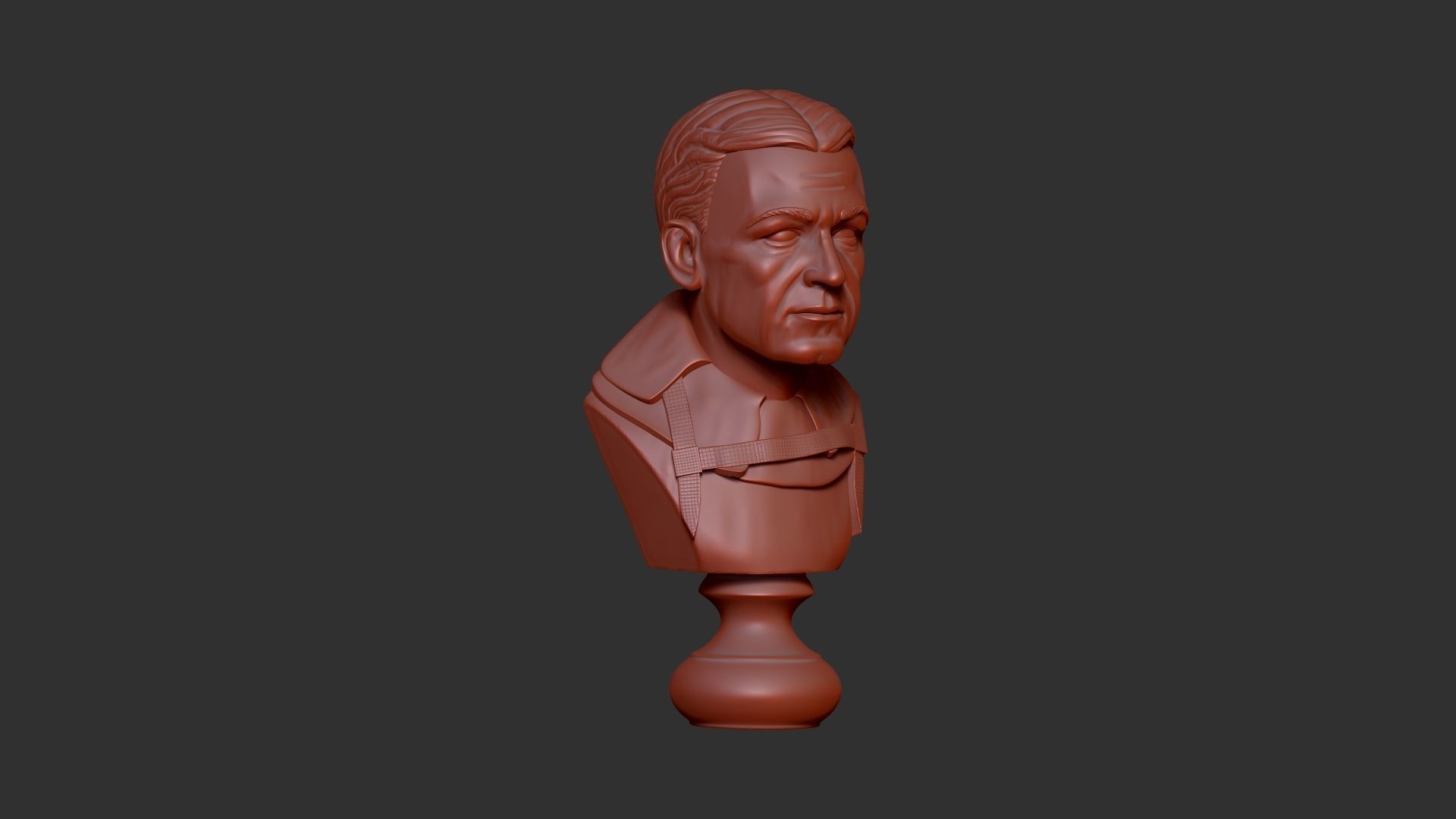 Ernest Shackleton Bust - 3D Print Model 3D print model_7