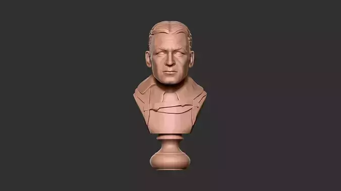 Ernest Shackleton Bust - 3D Print Model 3D print model