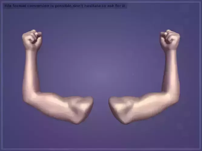 Cartoon Hand - Muscle Icon