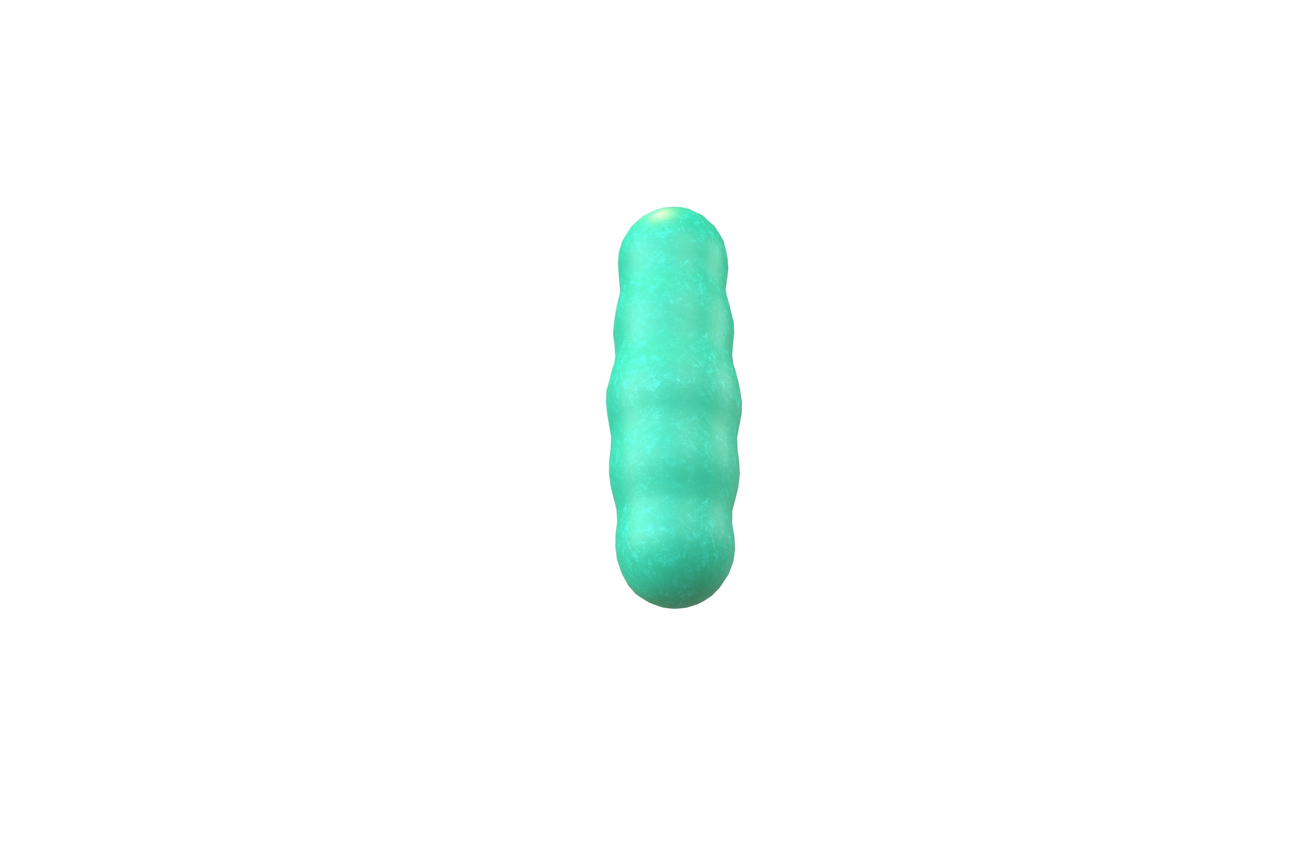 Bacteria v2 001 Low-poly 3D model_4