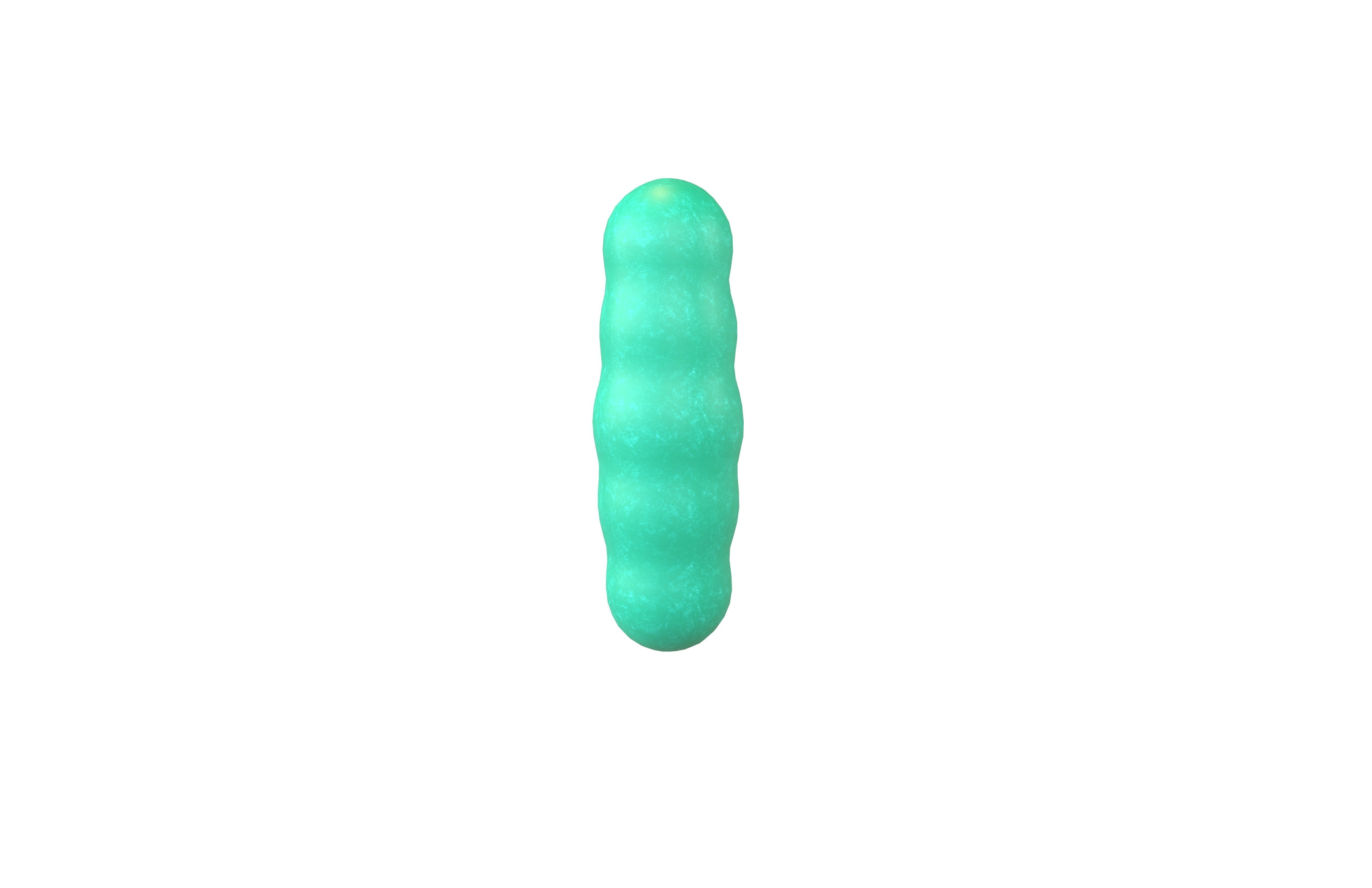 Bacteria v2 001 Low-poly 3D model_2