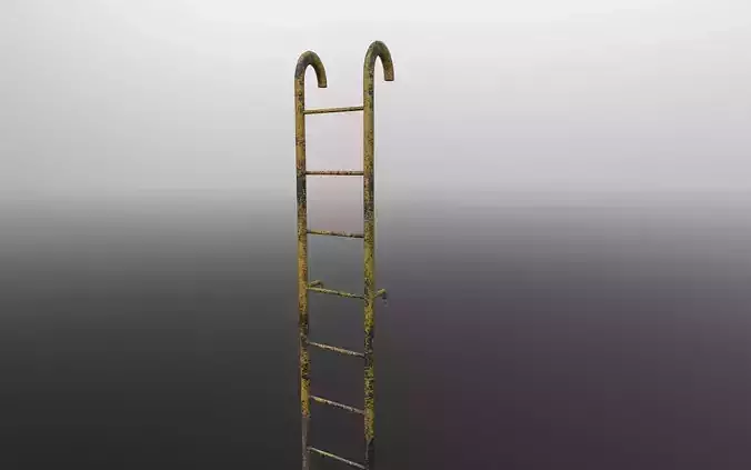 Ladder 3d model with multiple skins