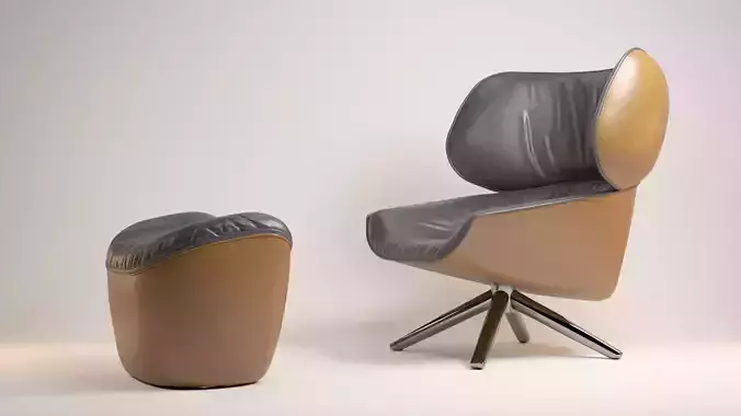 Leather Arm Chair