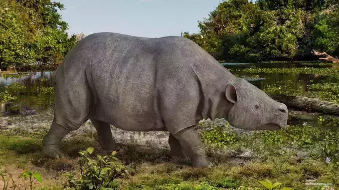 Toxodon rhinoceros in philippines
