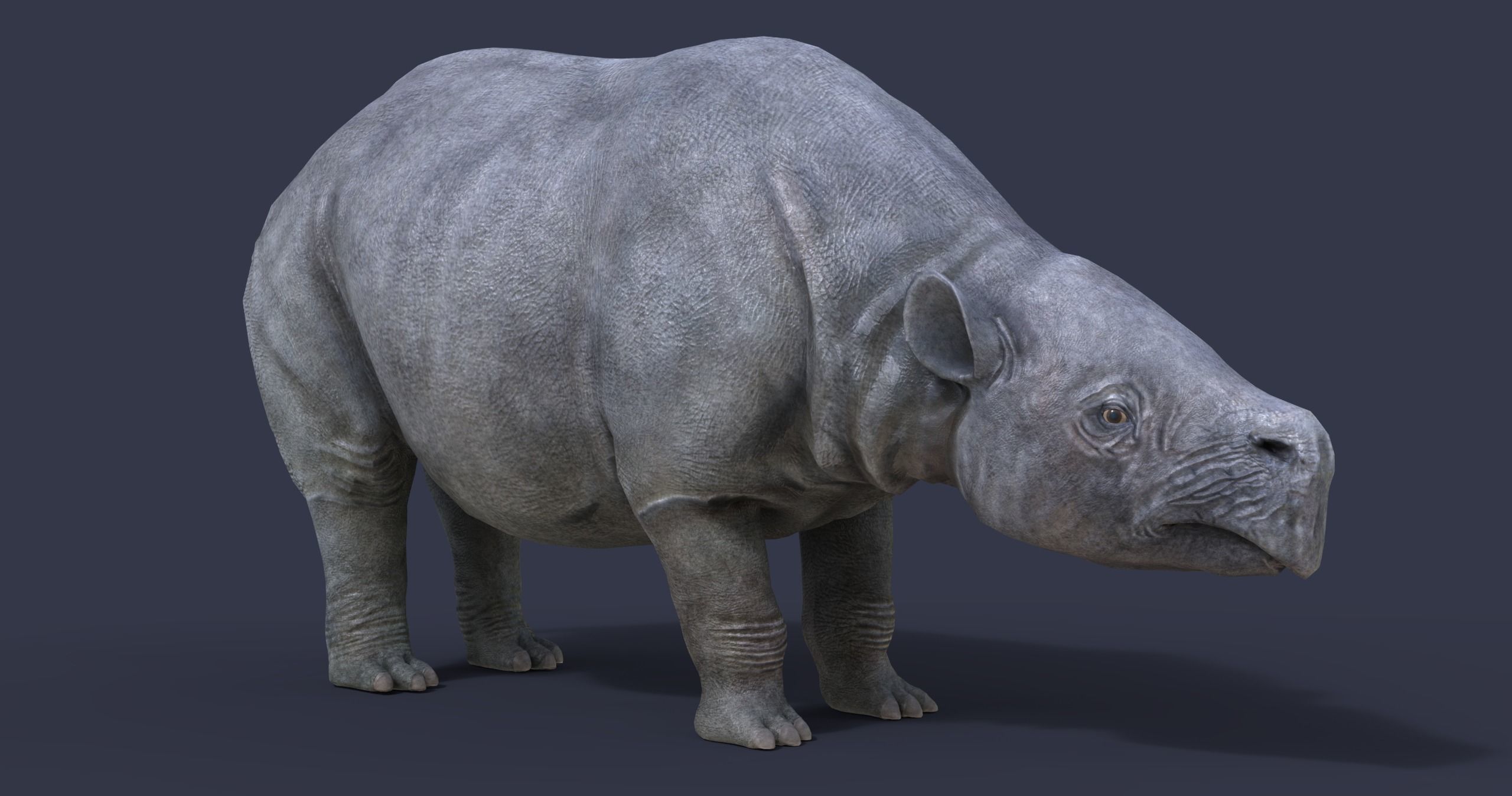 Toxodon rhinoceros in philippines 3D model_2