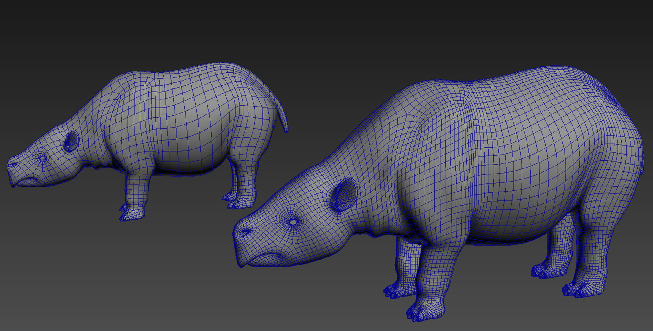 Toxodon rhinoceros in philippines 3D model_7