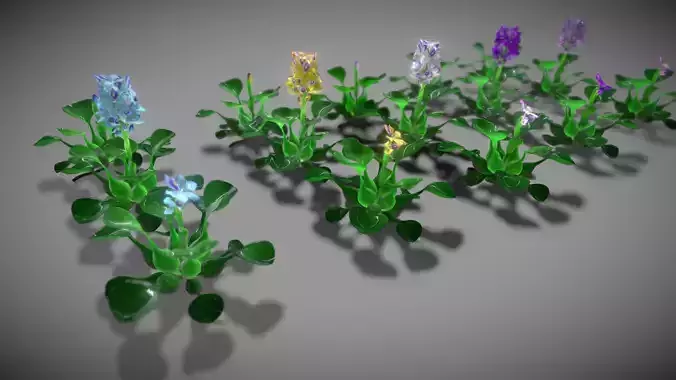 Flower Eichhornia Crassipes