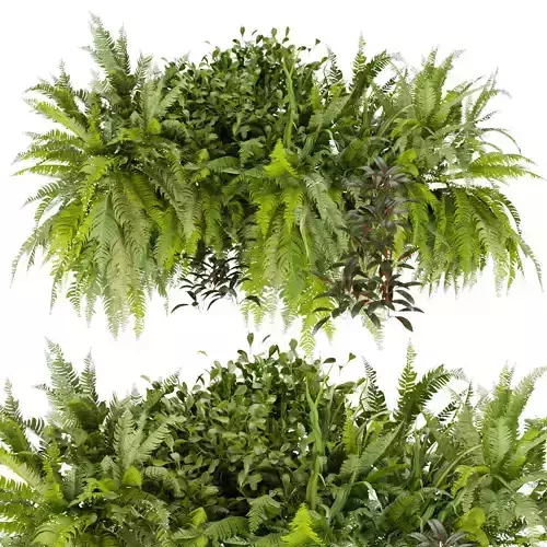 Collection plant vol 254 - indoor 3D model