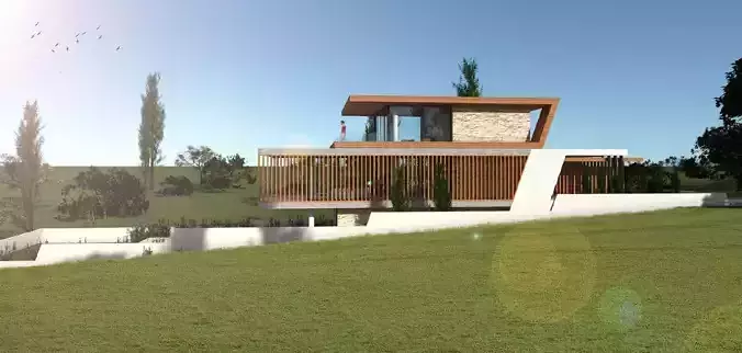 VV318 modern house on hillside