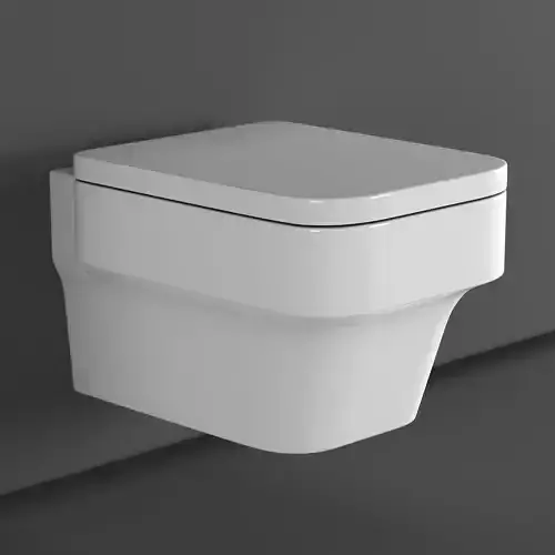 Toilet wall mounted P-trap BelBagno JANICE  3D model