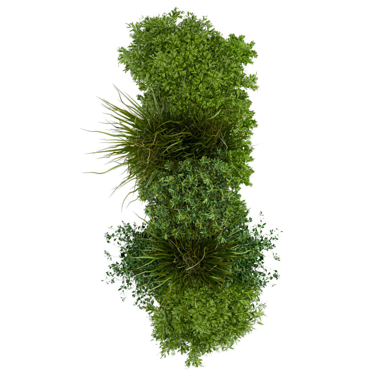 Collection plant vol 255 - indoor 3D model_3