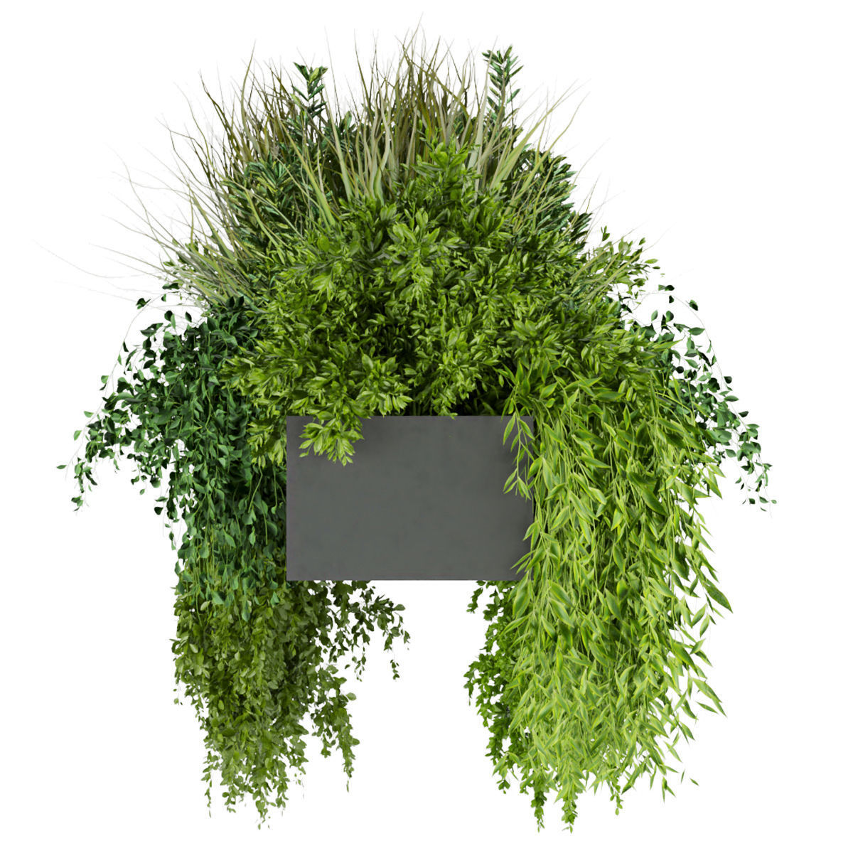 Collection plant vol 255 - indoor 3D model_4