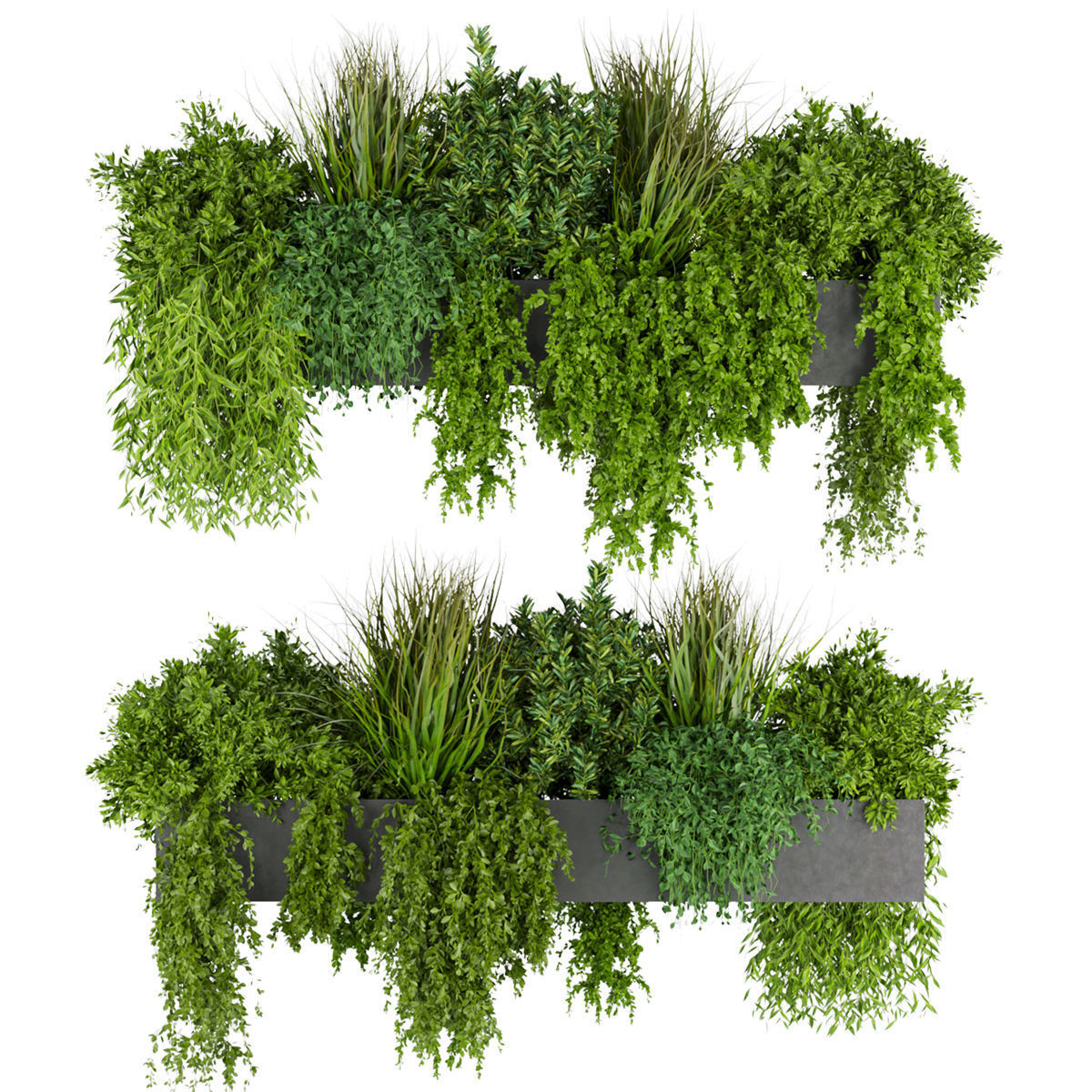 Collection plant vol 255 - indoor 3D model_1