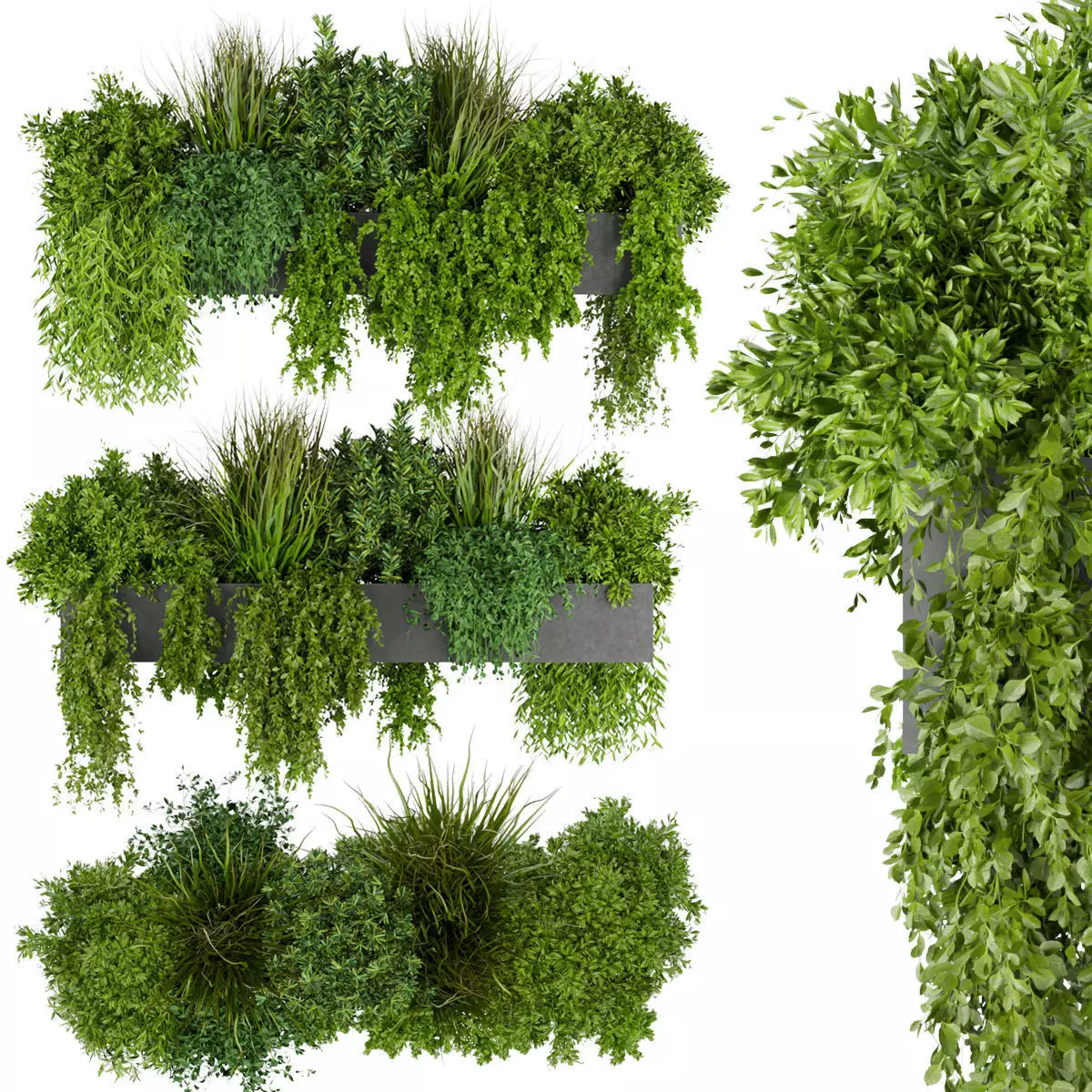 Collection plant vol 255 - indoor 3D model_0