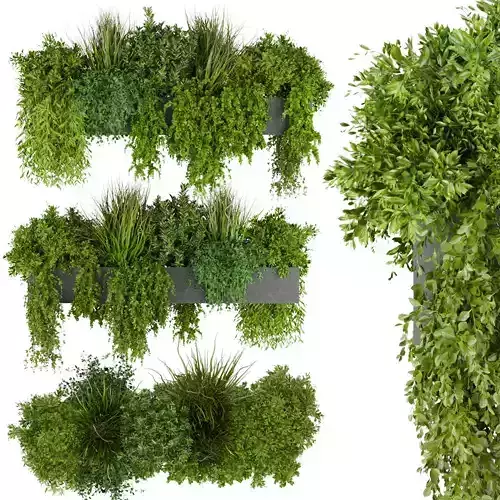 Collection plant vol 255 - indoor 3D model