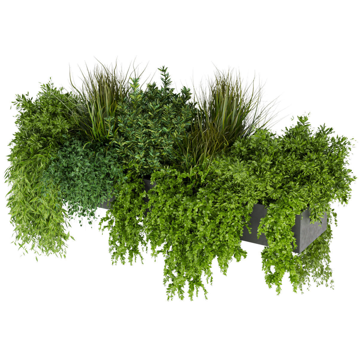 Collection plant vol 255 - indoor 3D model_2