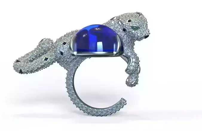 Jewelry ring
