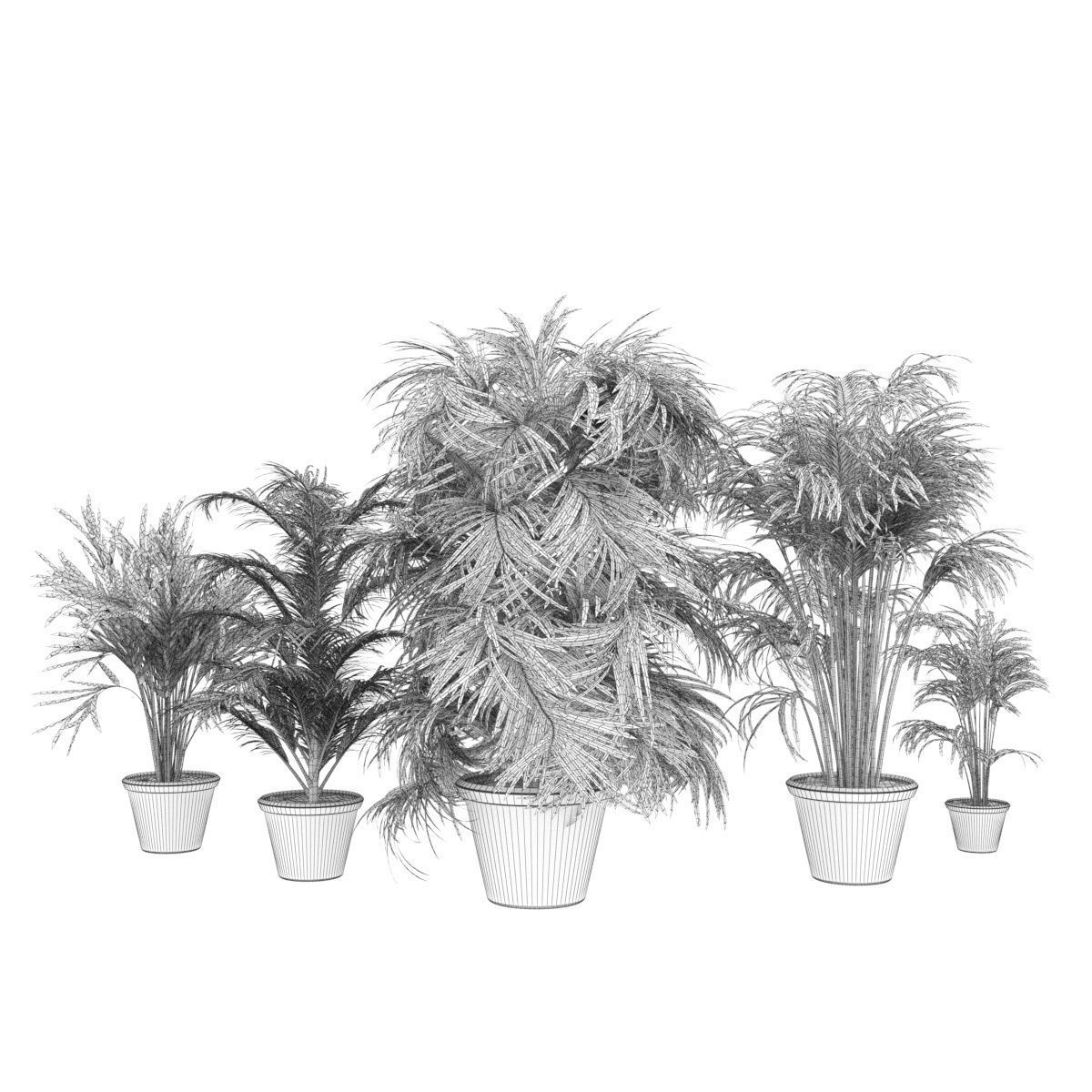 Collection plant vol 256 - indoor 3D model_6