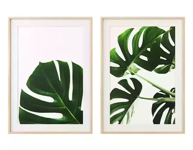 Monstera leaves gallery wall