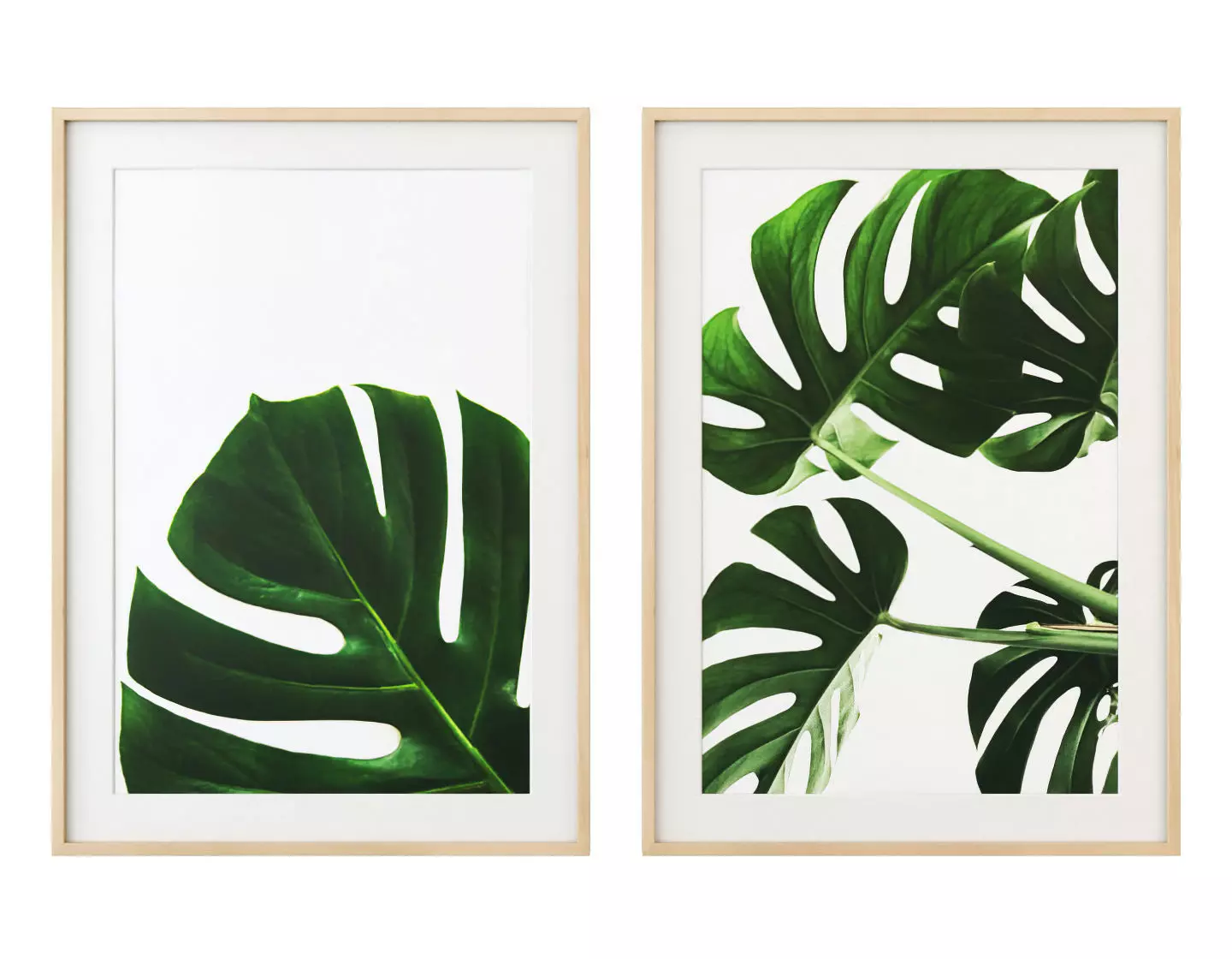 Monstera leaves gallery wall 3D model