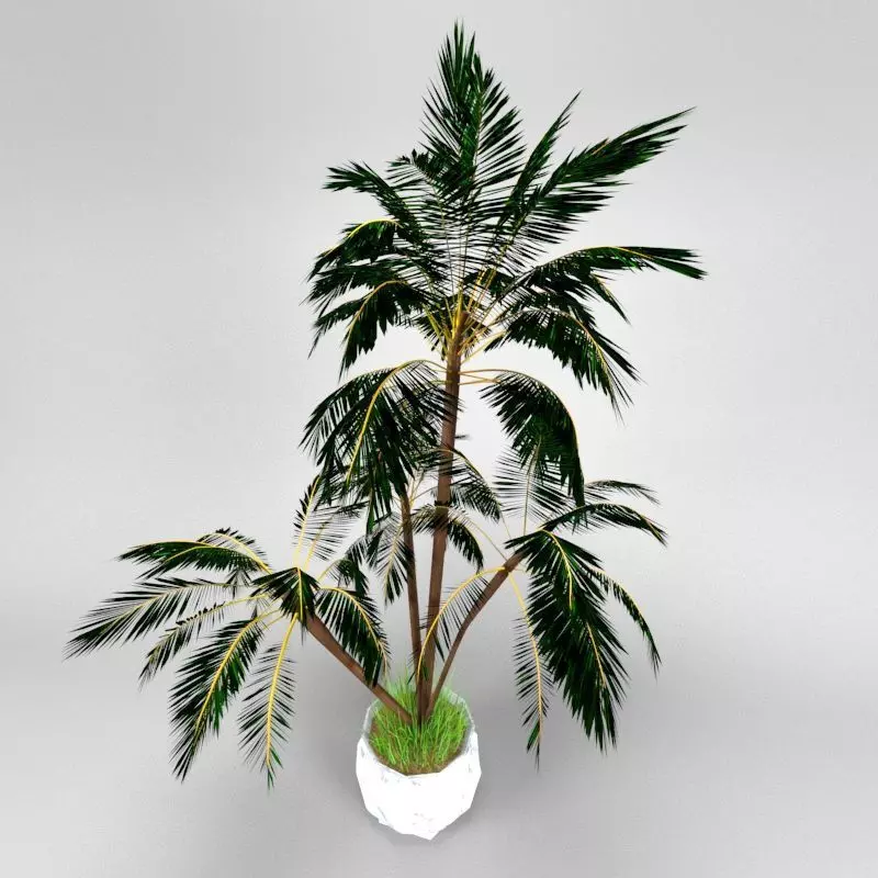 4 palms   vase   grass 3D model_0