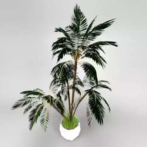 4 palms   vase   grass 3D model