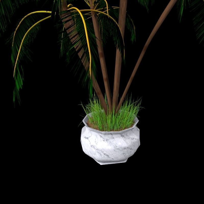 4 palms   vase   grass 3D model_8