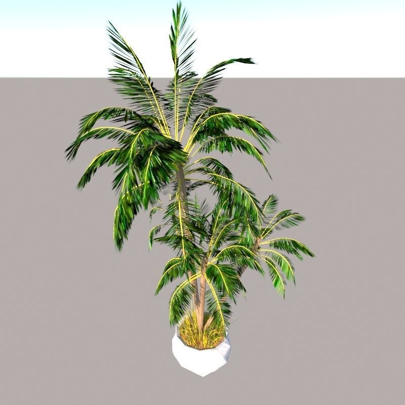 4 palms   vase   grass 3D model_1