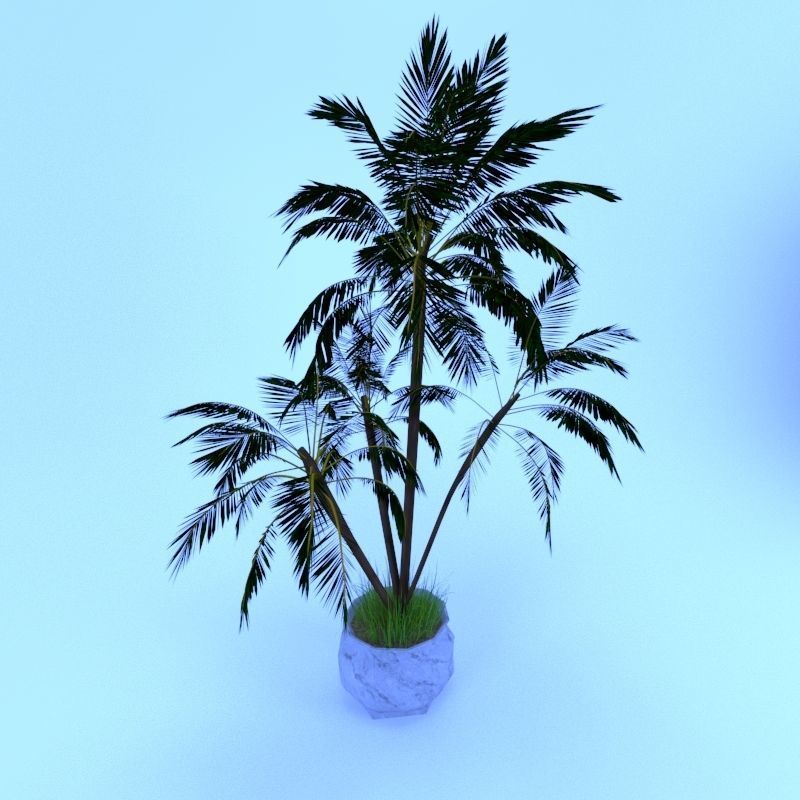4 palms   vase   grass 3D model_7