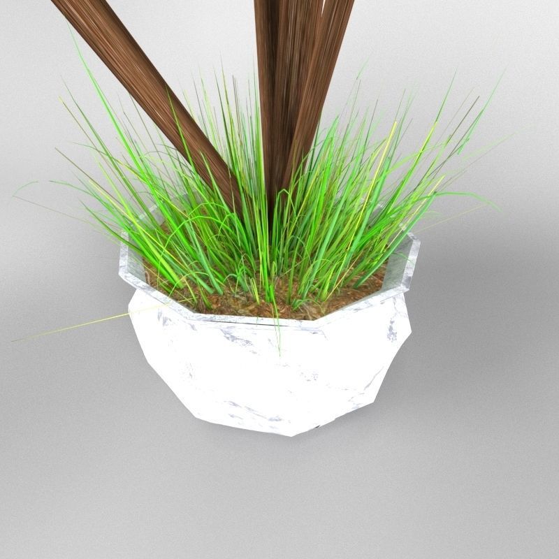 4 palms   vase   grass 3D model_6