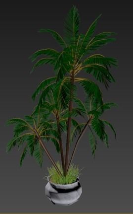 4 palms   vase   grass 3D model_12