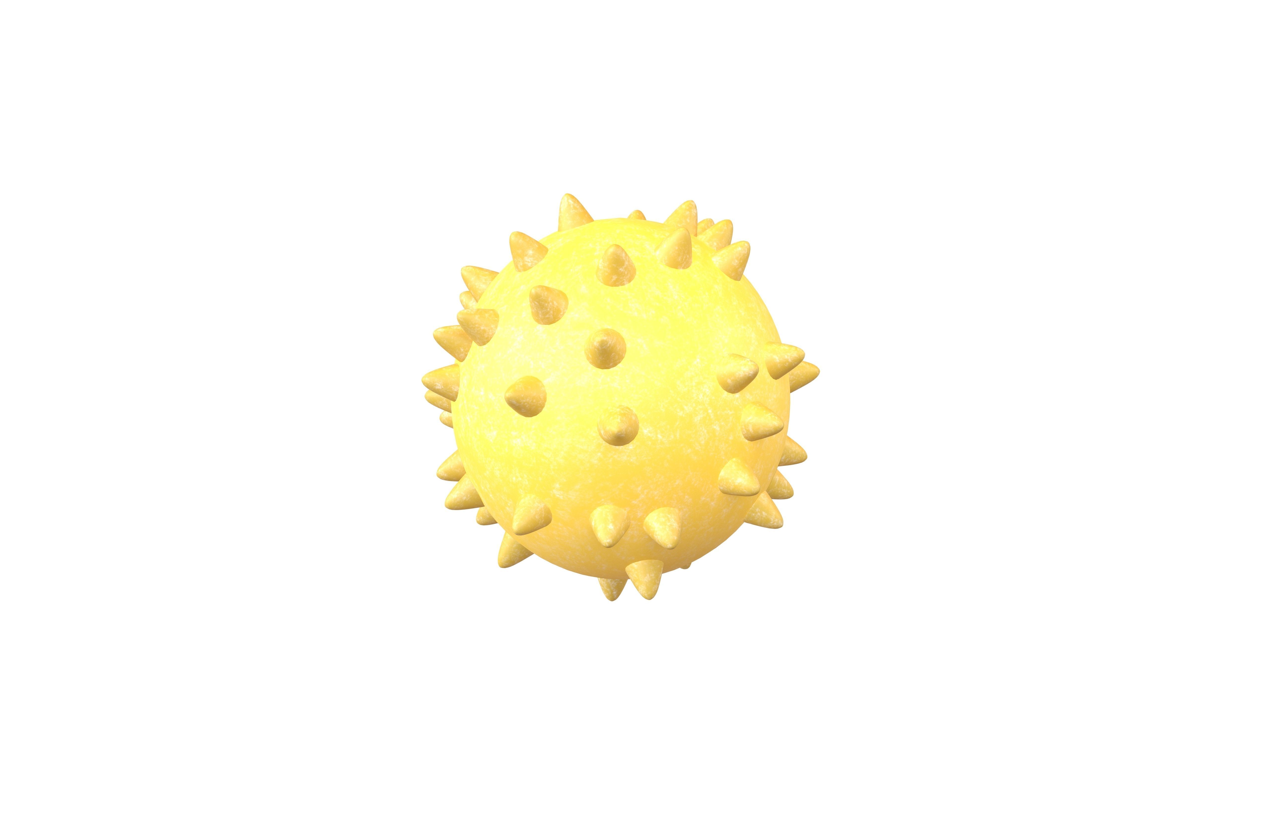 Bacteria v3 001 Low-poly 3D model_3