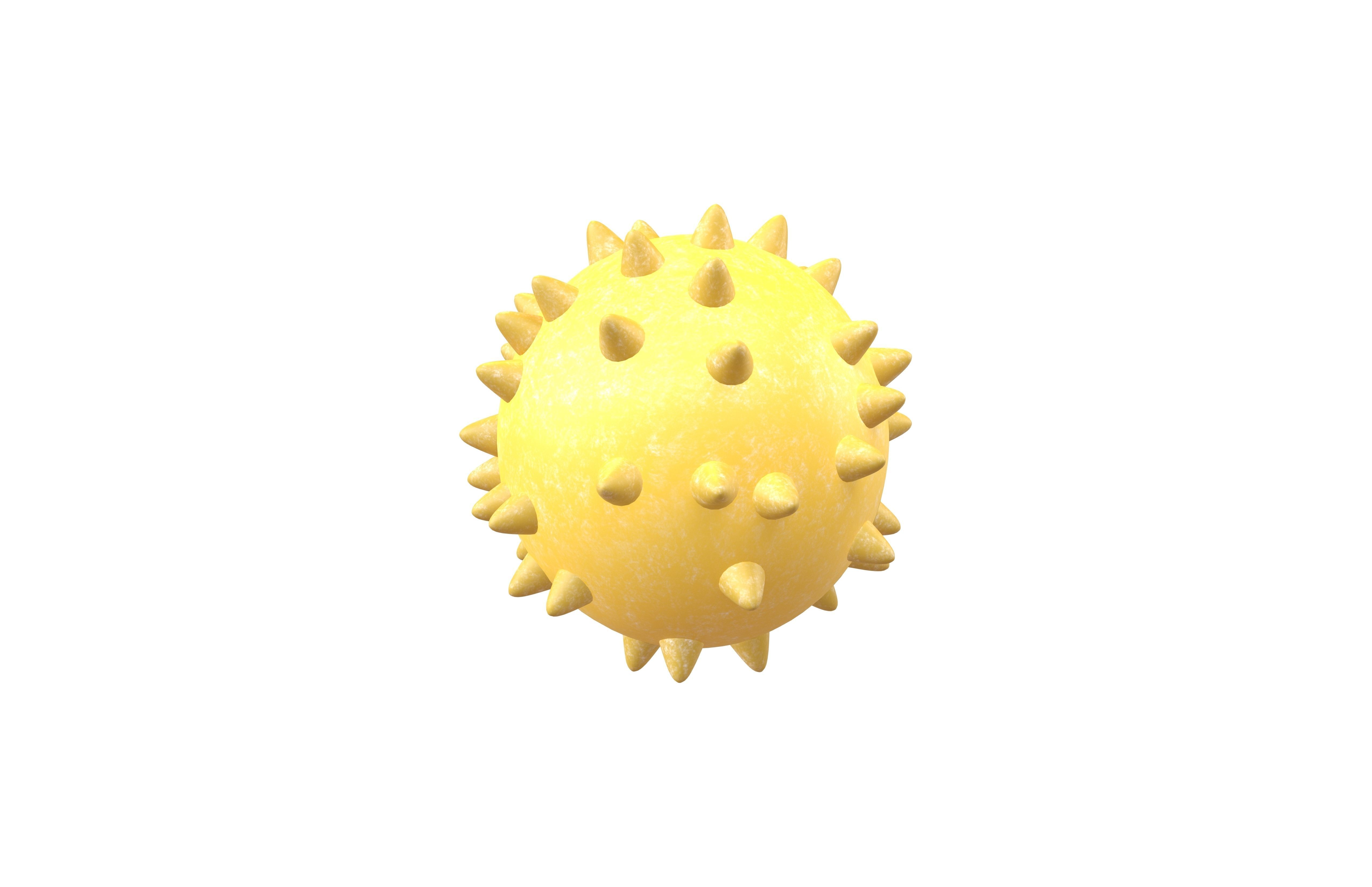 Bacteria v3 001 Low-poly 3D model_2