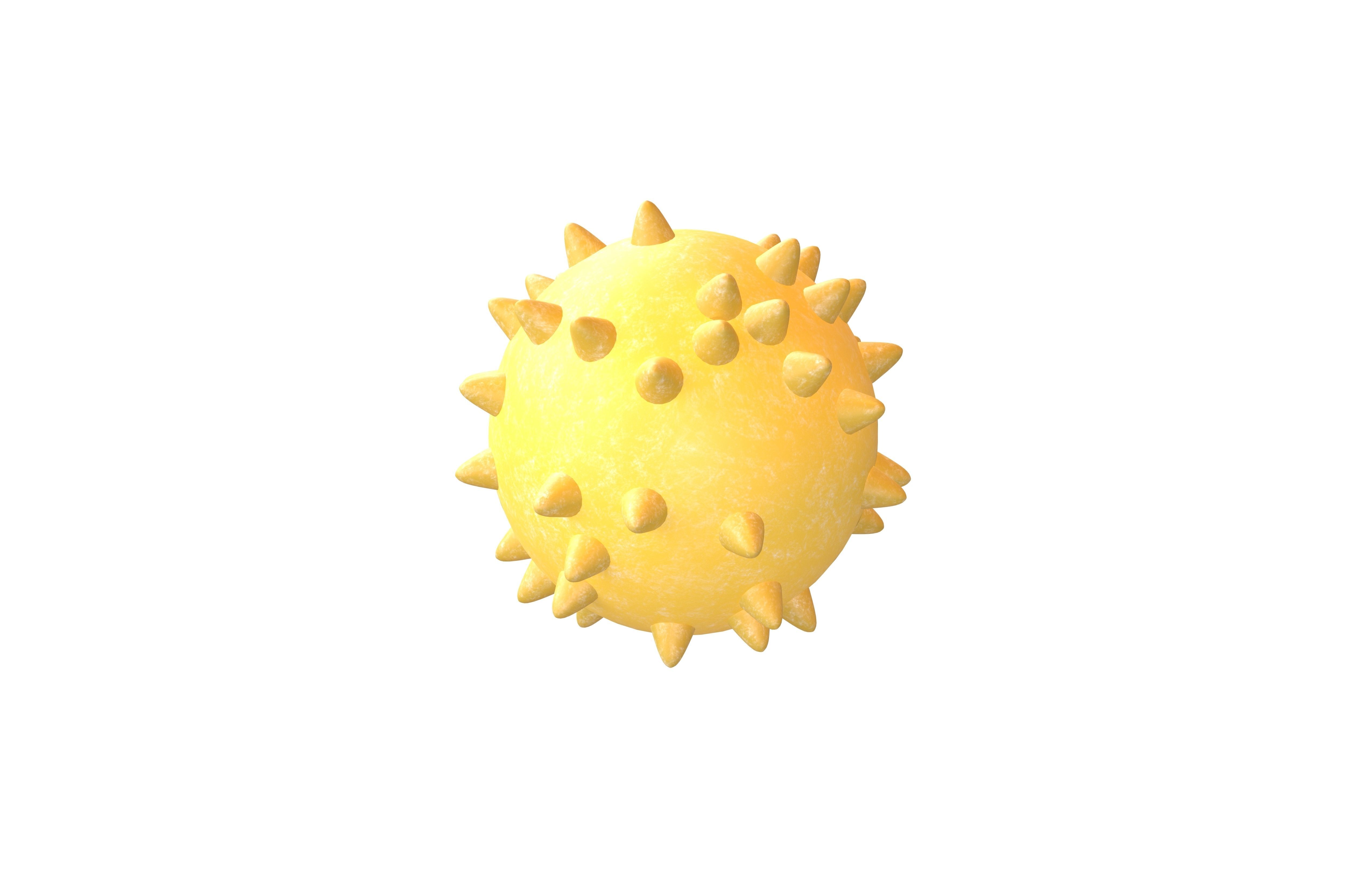 Bacteria v3 001 Low-poly 3D model_4