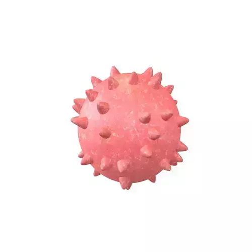 Bacteria v3 002 Low-poly 3D model