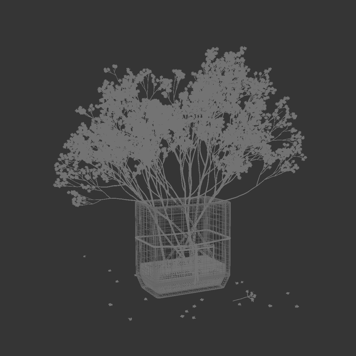 Dry flowers 6 3D model_7