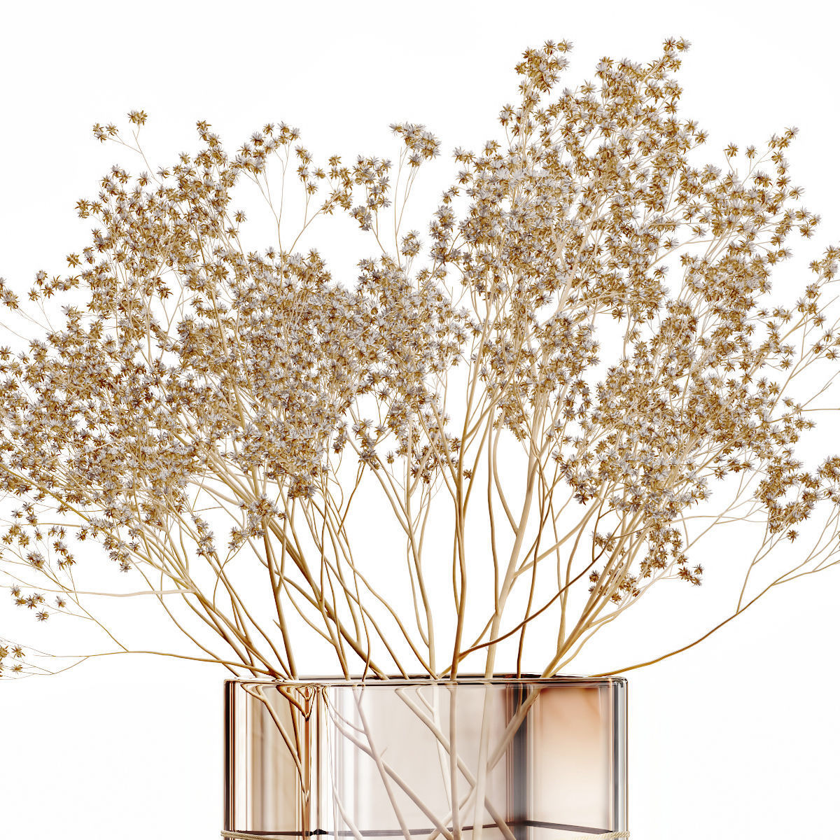 Dry flowers 6 3D model_2