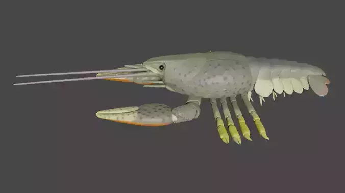 Noble crayfish Low-poly 3D model