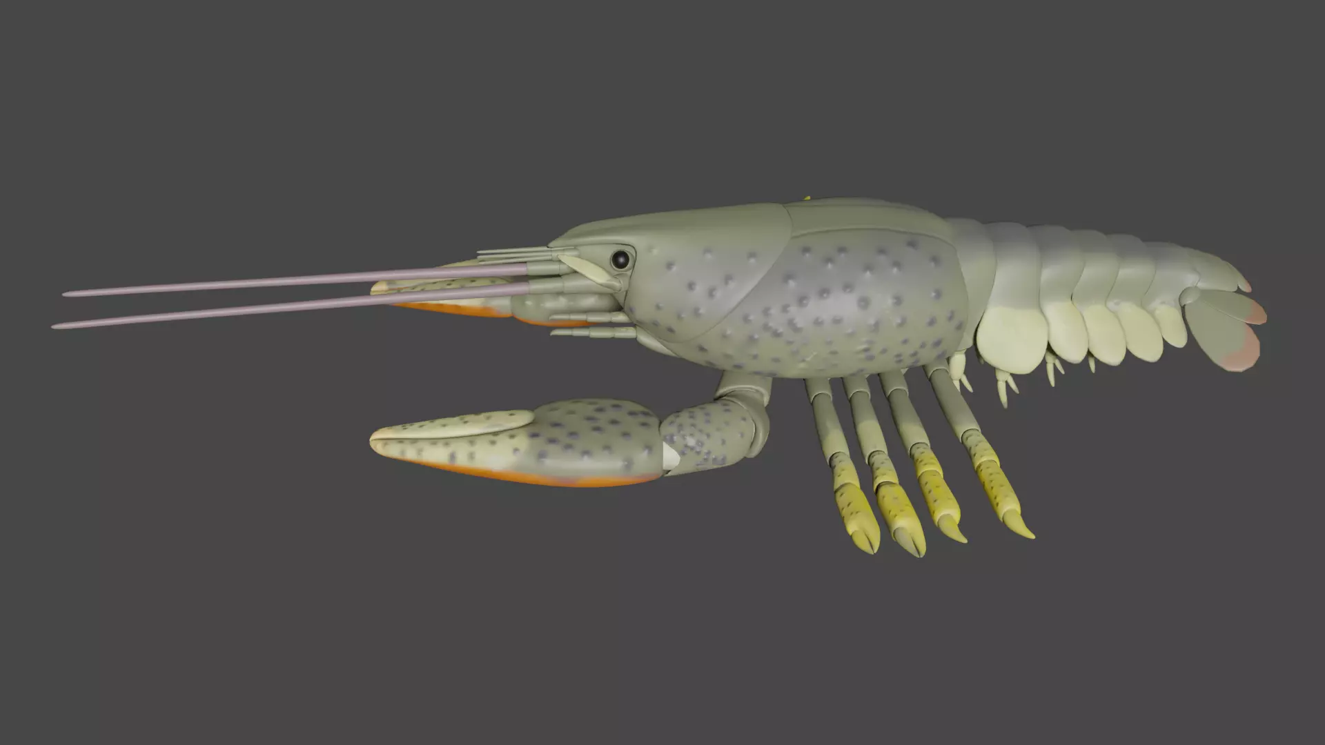 Noble crayfish Low-poly 3D model