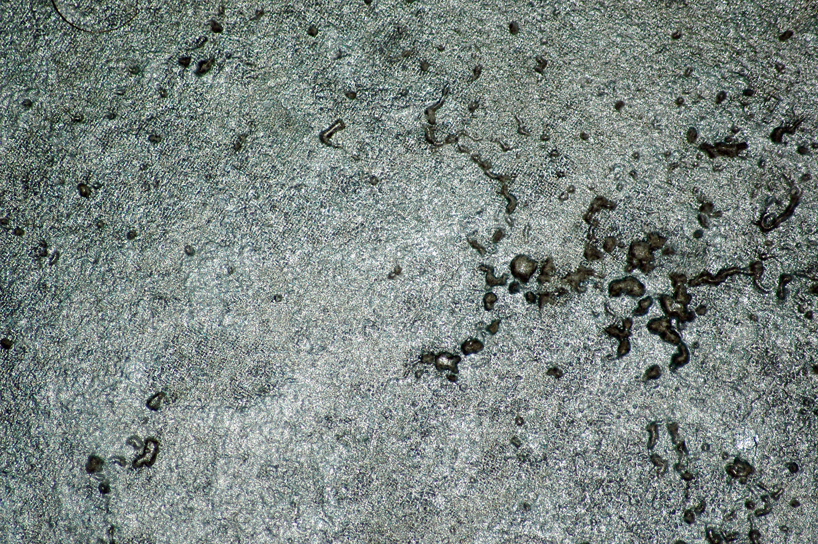 Low-Poly Rock Set 5 Different Rocks Low-poly 3D model_6