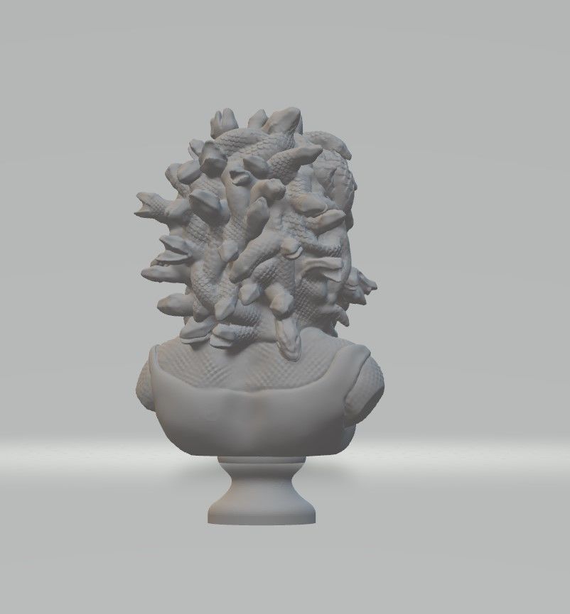 medusa bust 3D print model_3