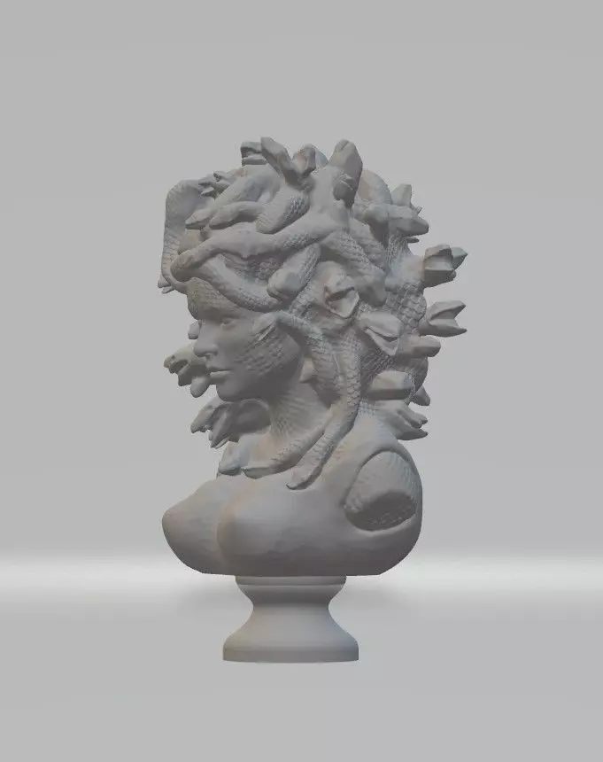 medusa bust 3D print model_0