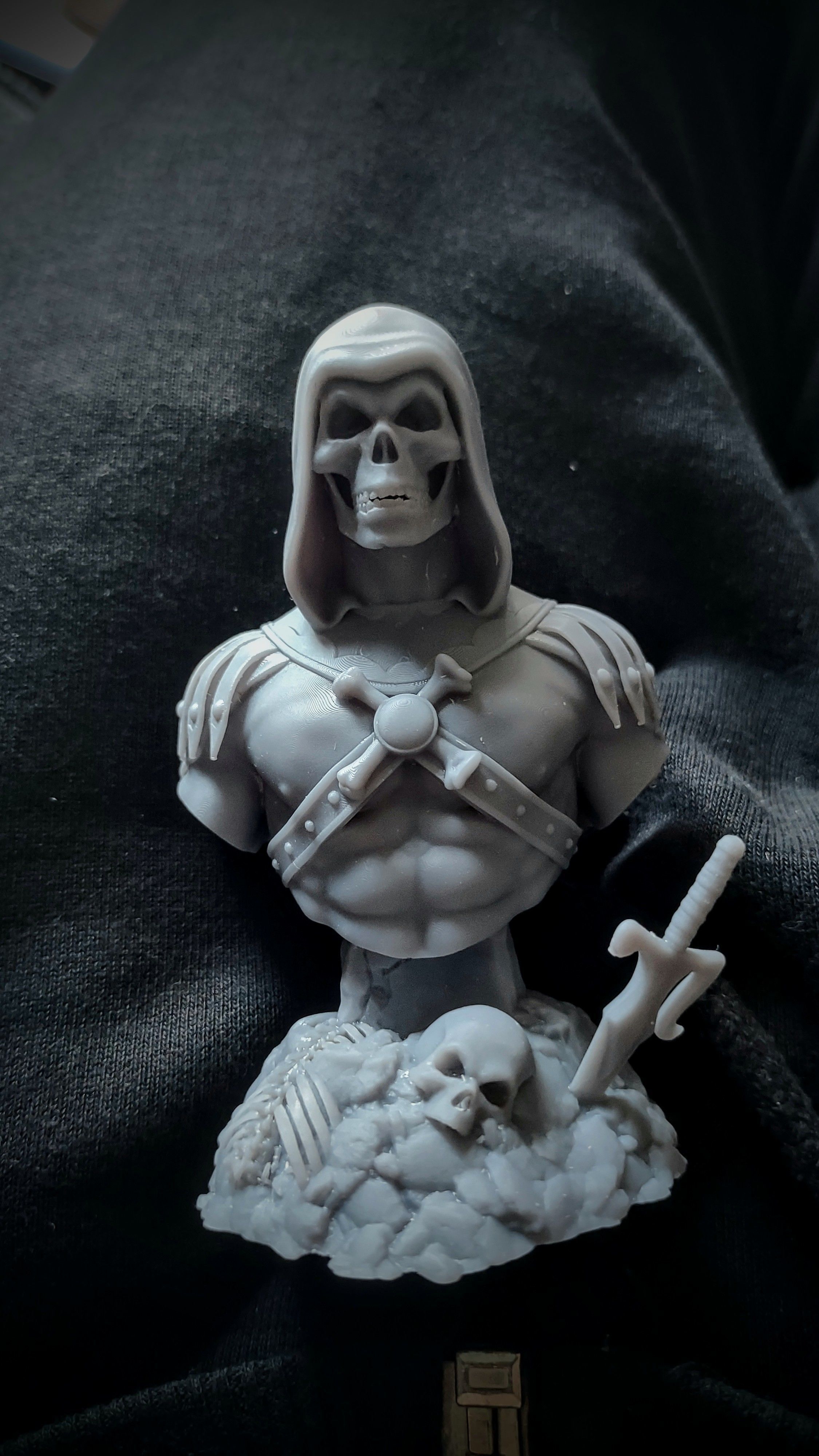 Skeletor he-man bust 3D print model_4