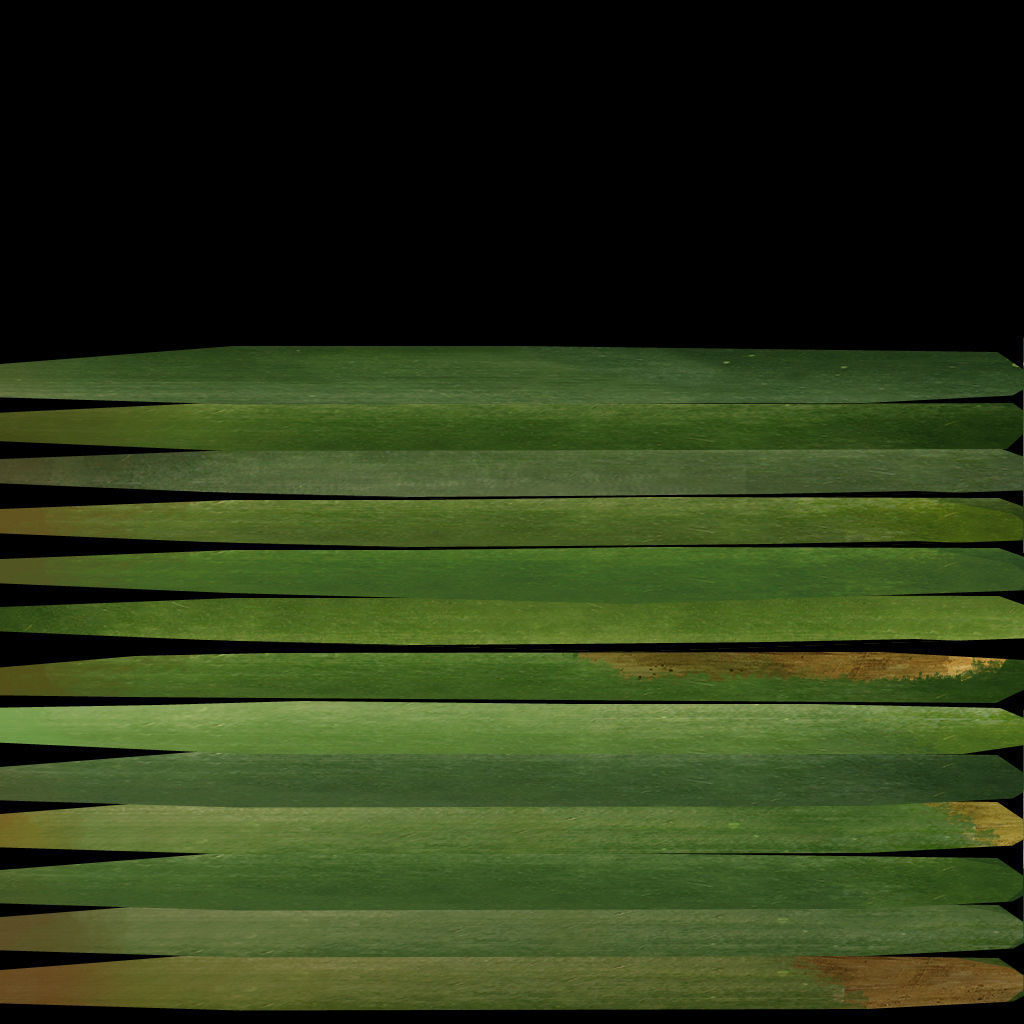 PLANT Free 3D model_13